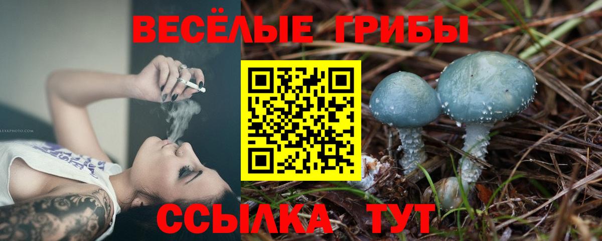 Псилоцибиновые грибы мухоморы Златоуст